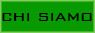 sei sulla pagina del chi siamo