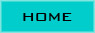 sei sulla pagina home